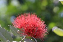 IMG_0424 null