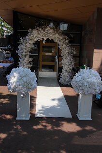 IMG_6804 null