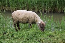 IMG_8104 null