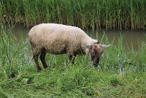 IMG_8105 null