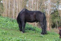 IMG_1014 null