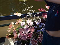 P6215367 null