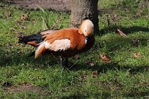 IMG_8023 null